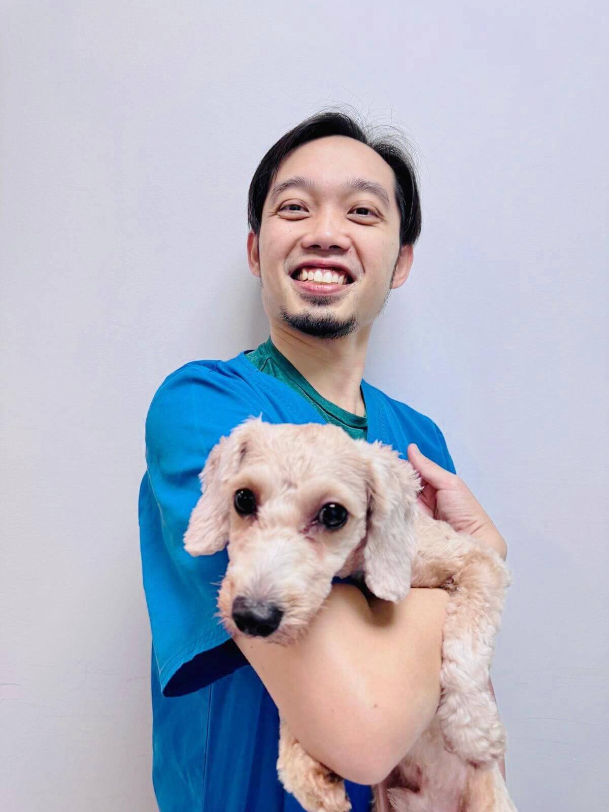 Dr Colin Chin, veterinarian at AVH Animal Ark Vet