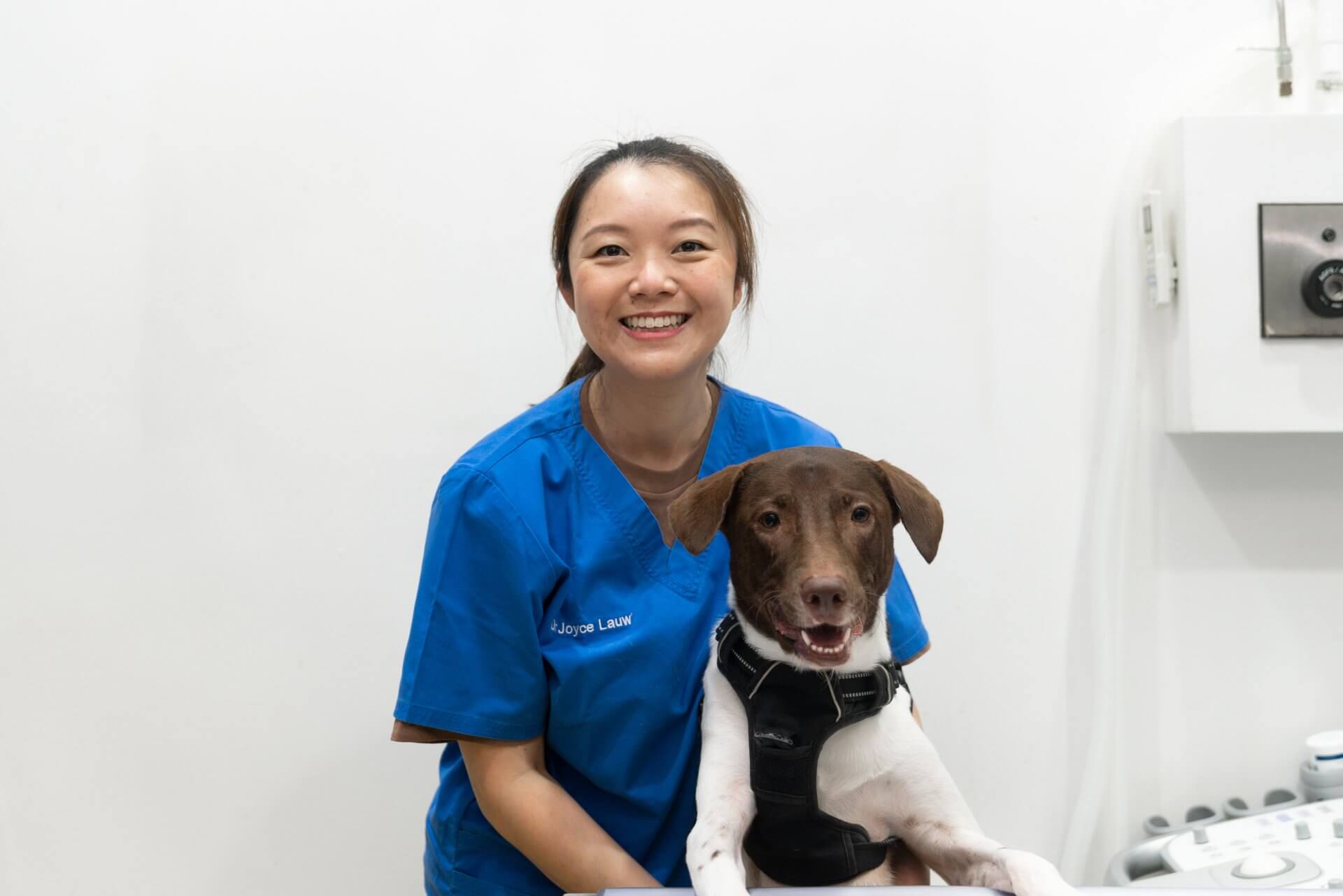 Dr Joyce Lauw, veterinarian at AVH Animal Ark Vet