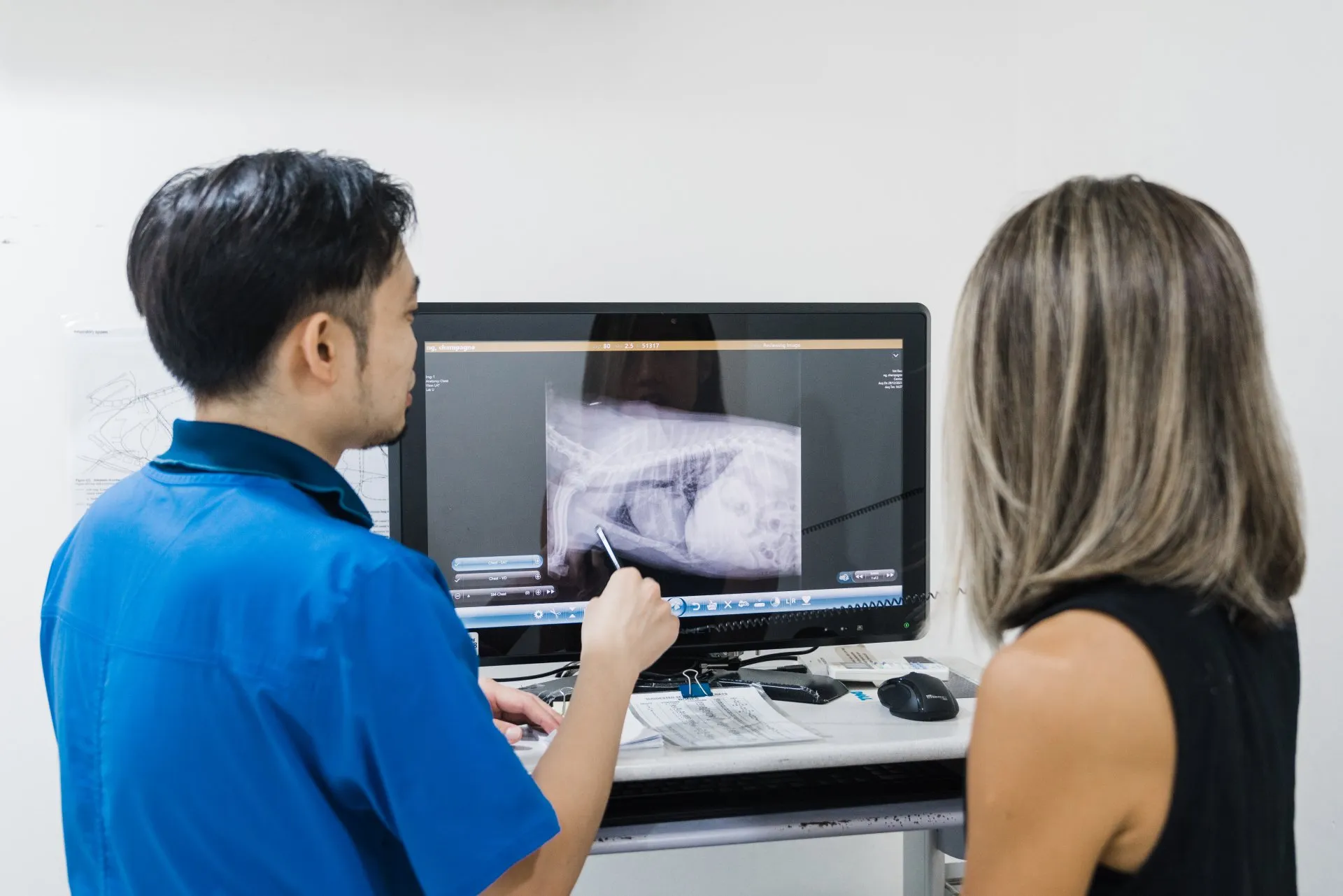 Pet X-ray imaging at AVH Animal Ark Vet