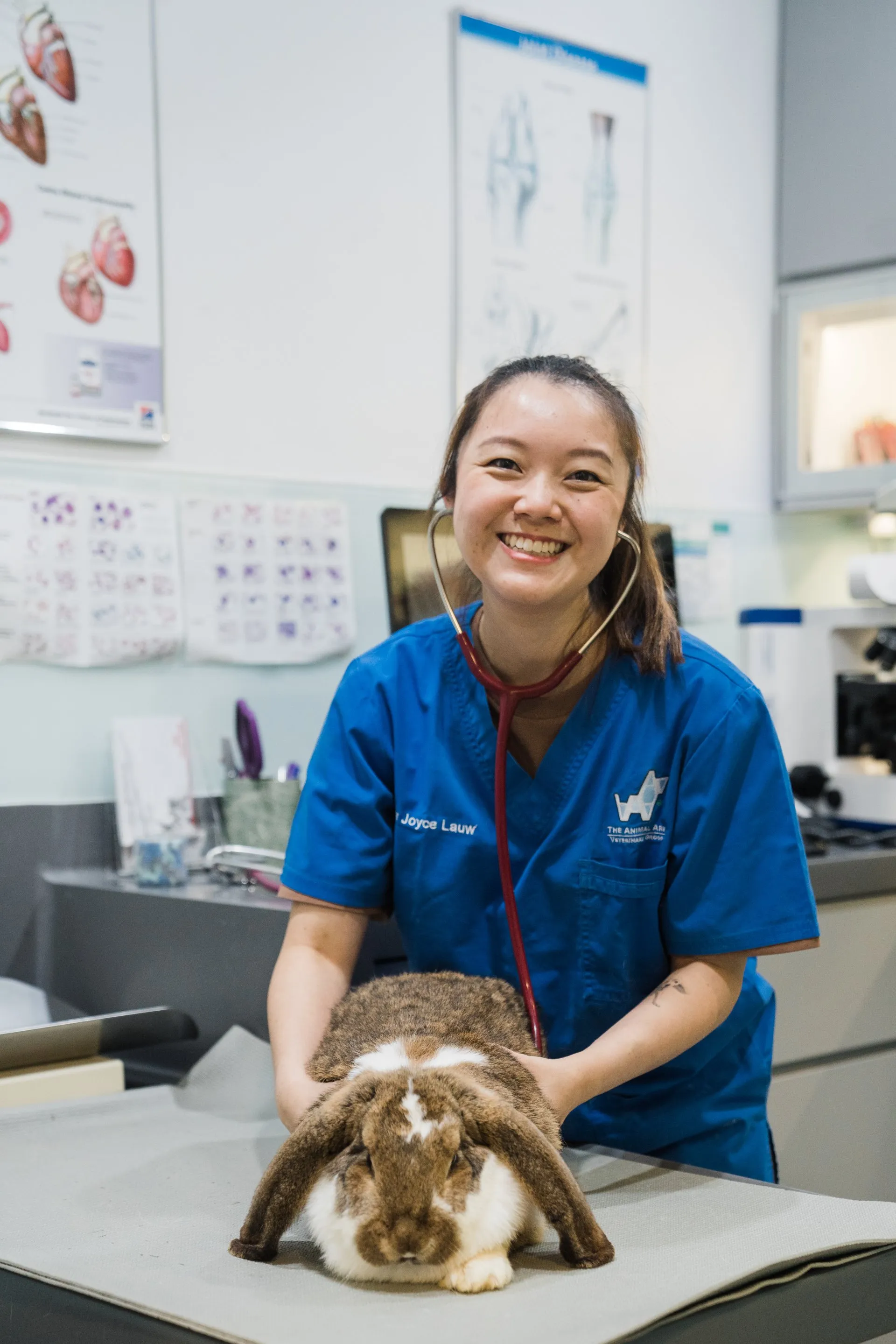 Small-mammal (pocket pet) veterinary care at AVH Animal Ark Vet