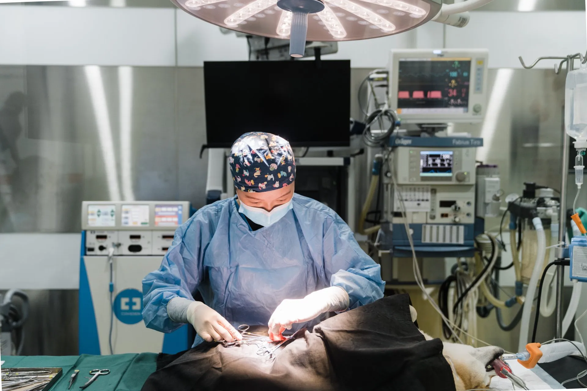 Veterinary surgical suite at AVH Animal Ark Vet