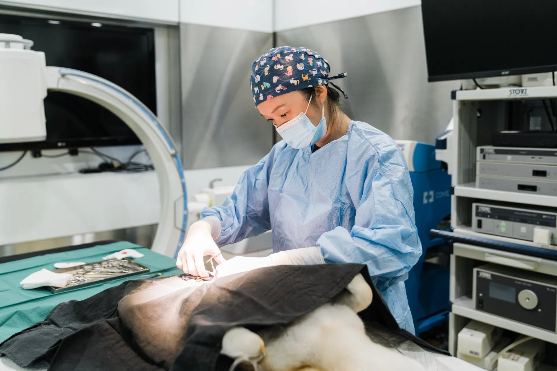 Veterinary surgery in progress at AVH Animal Ark Vet