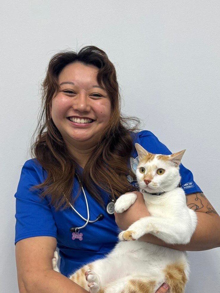 Veterinarian at AVH Animal Ark Vet