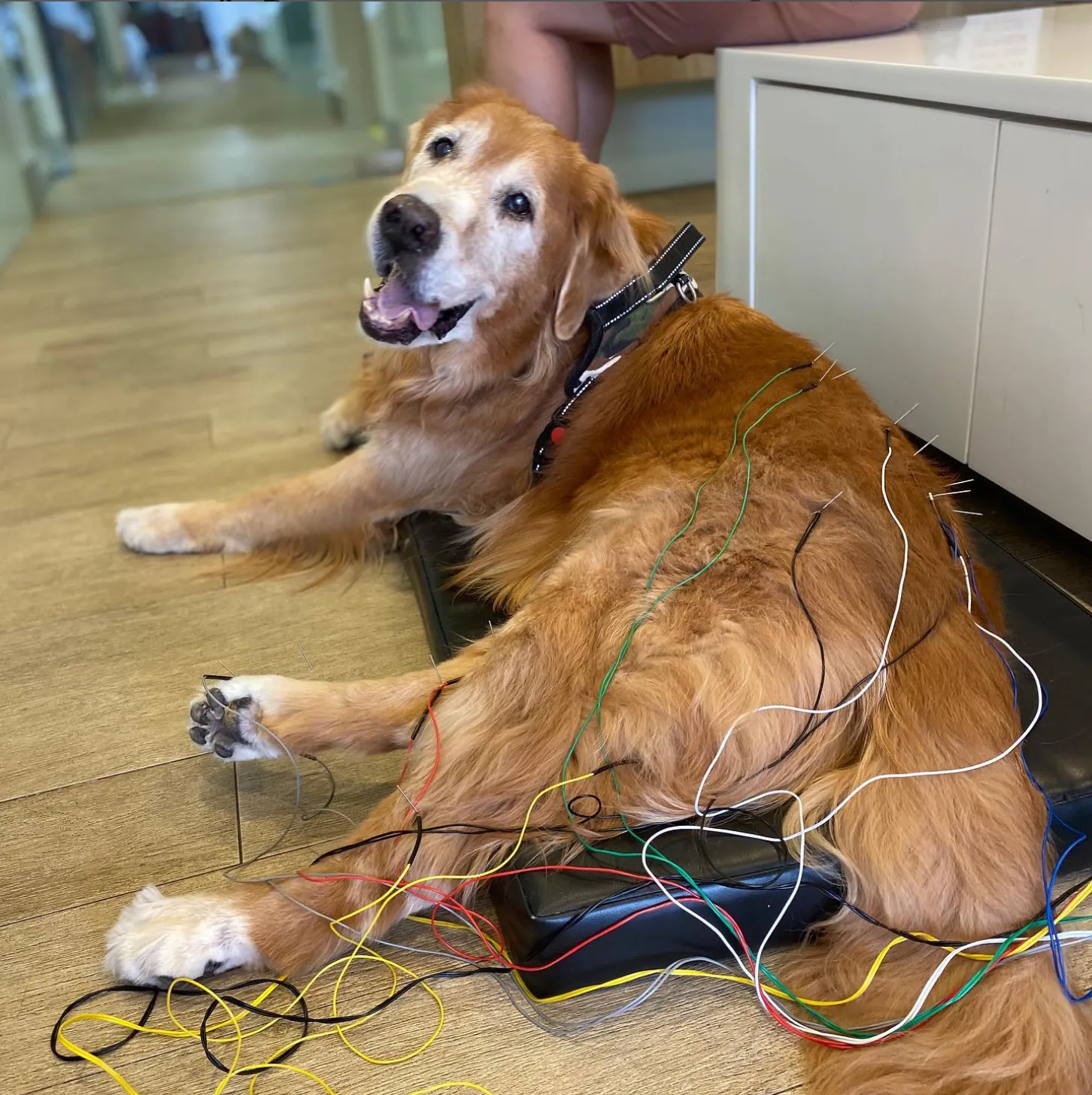 Acupuncture