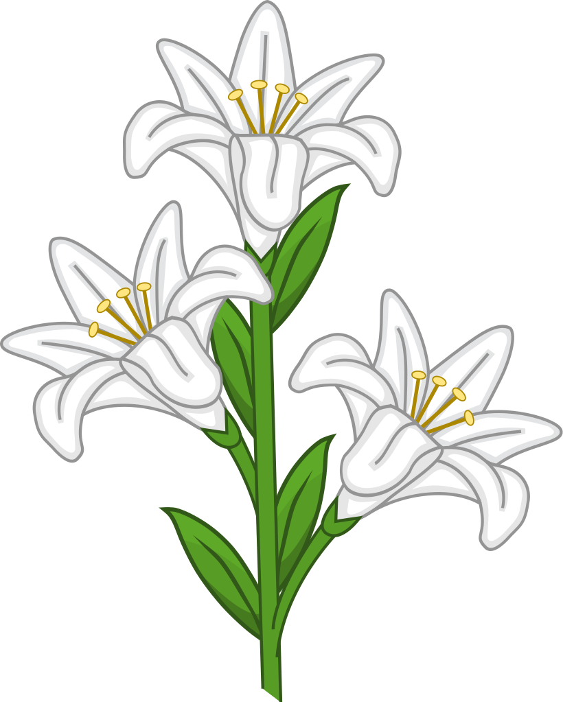 White lilies, which are highly poisonous to cats
